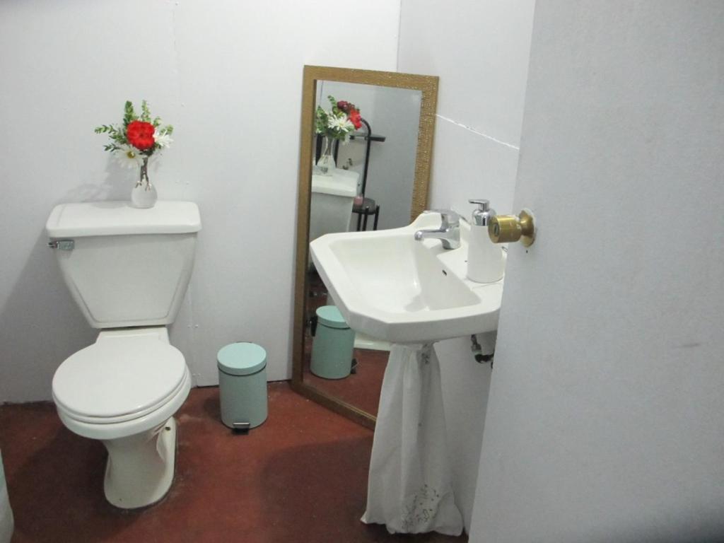 Habitaciones Centro Pucon Ngoại thất bức ảnh