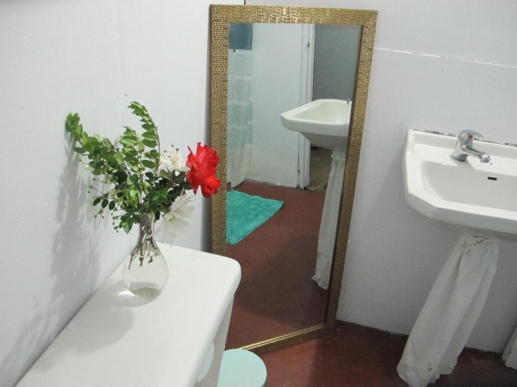 Habitaciones Centro Pucon Ngoại thất bức ảnh