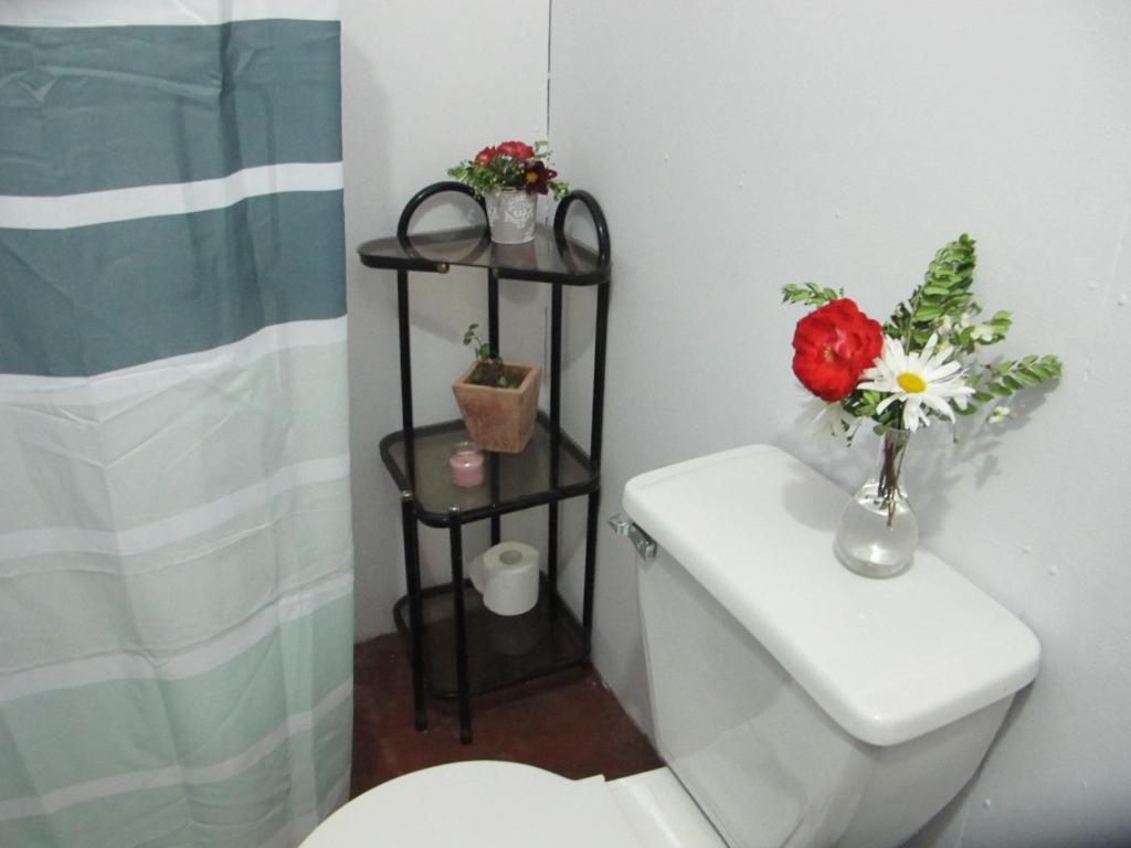 Habitaciones Centro Pucon Ngoại thất bức ảnh
