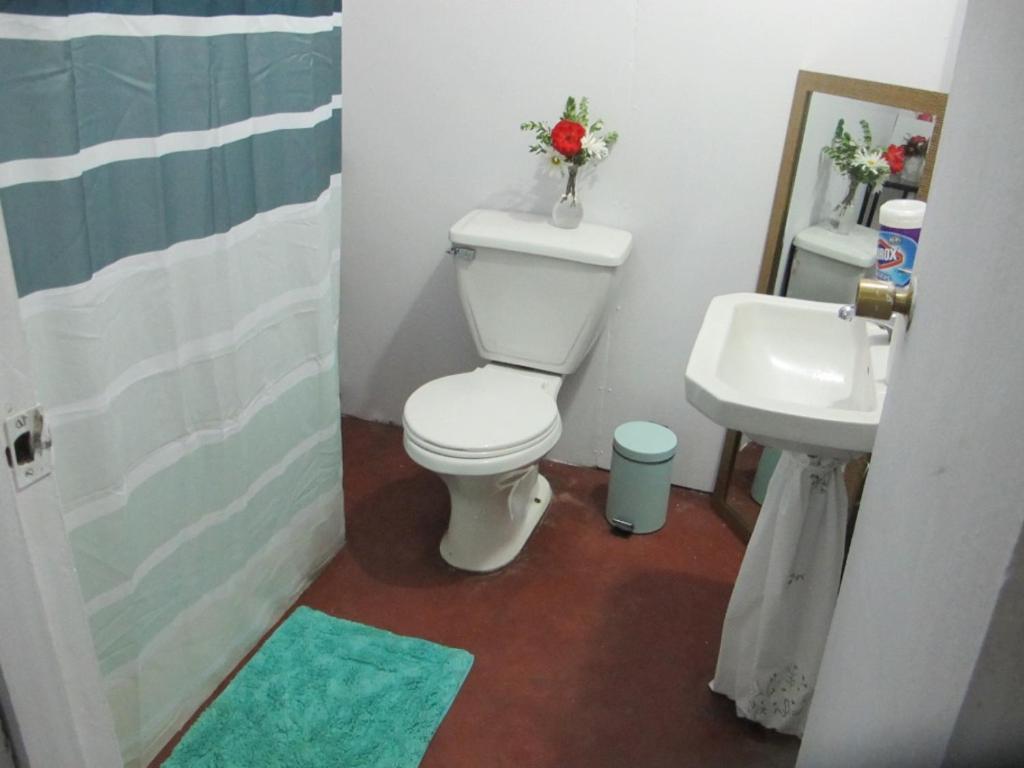 Habitaciones Centro Pucon Ngoại thất bức ảnh