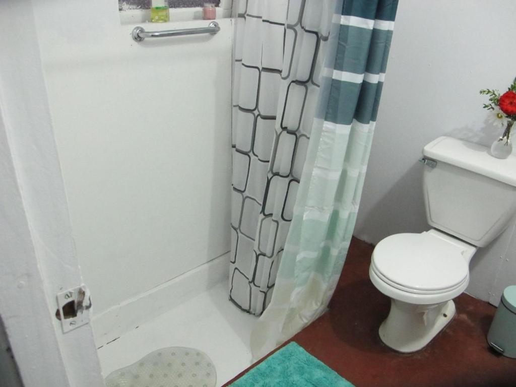 Habitaciones Centro Pucon Ngoại thất bức ảnh